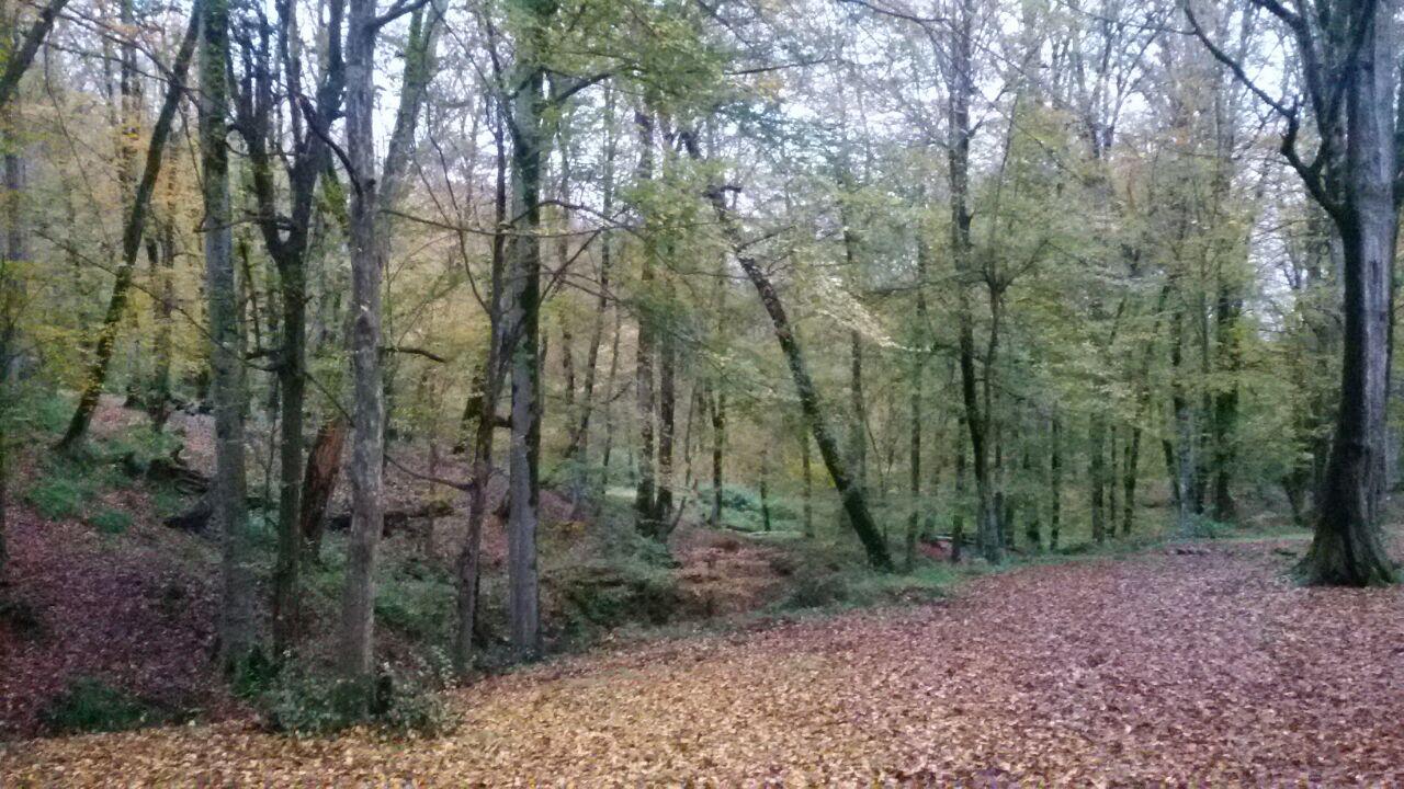 1_3_.jpg (1280×720)