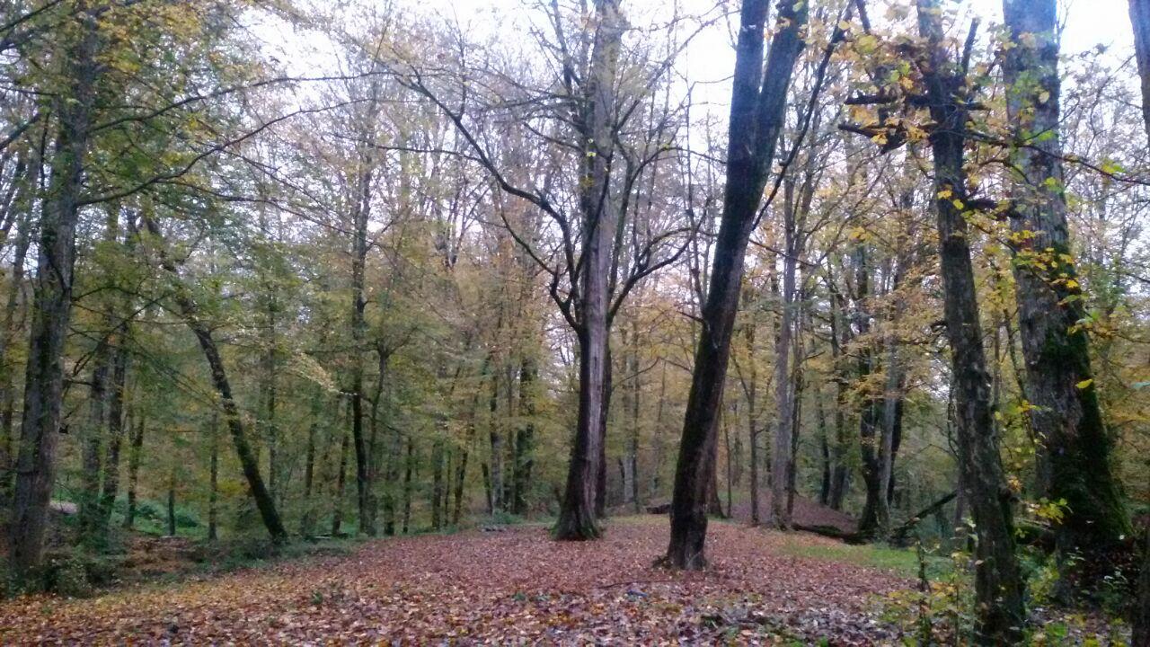 1_6_.jpg (1280×720)