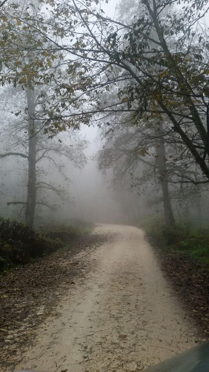 1_7_.jpg (720×1280)