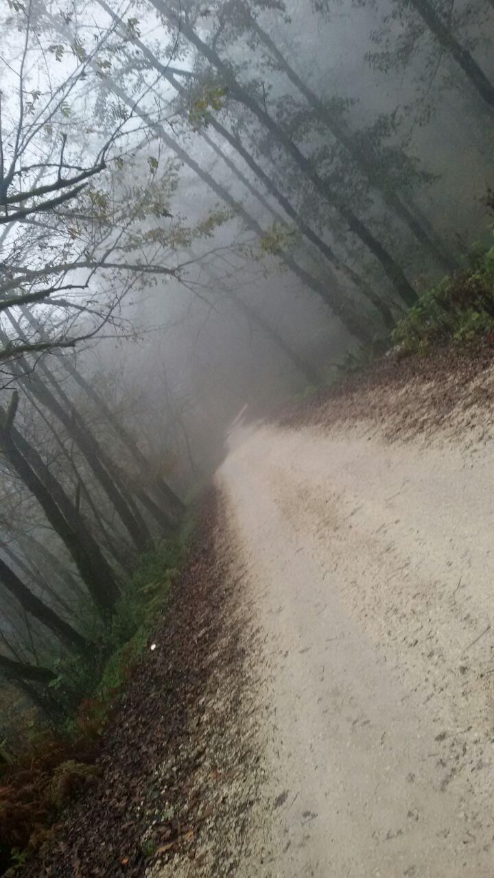 1_11_.jpg (720×1280)