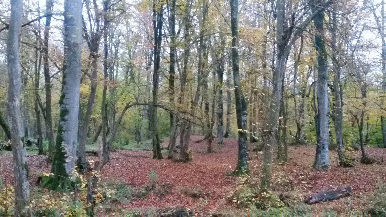 1_13_.jpg (1280×720)