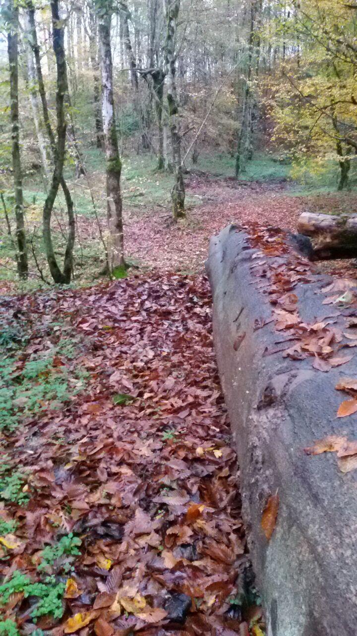 1_14_.jpg (720×1280)