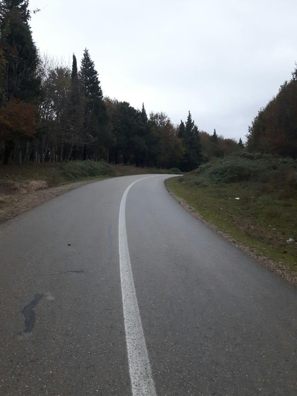 1_16_.jpg (960×1280)