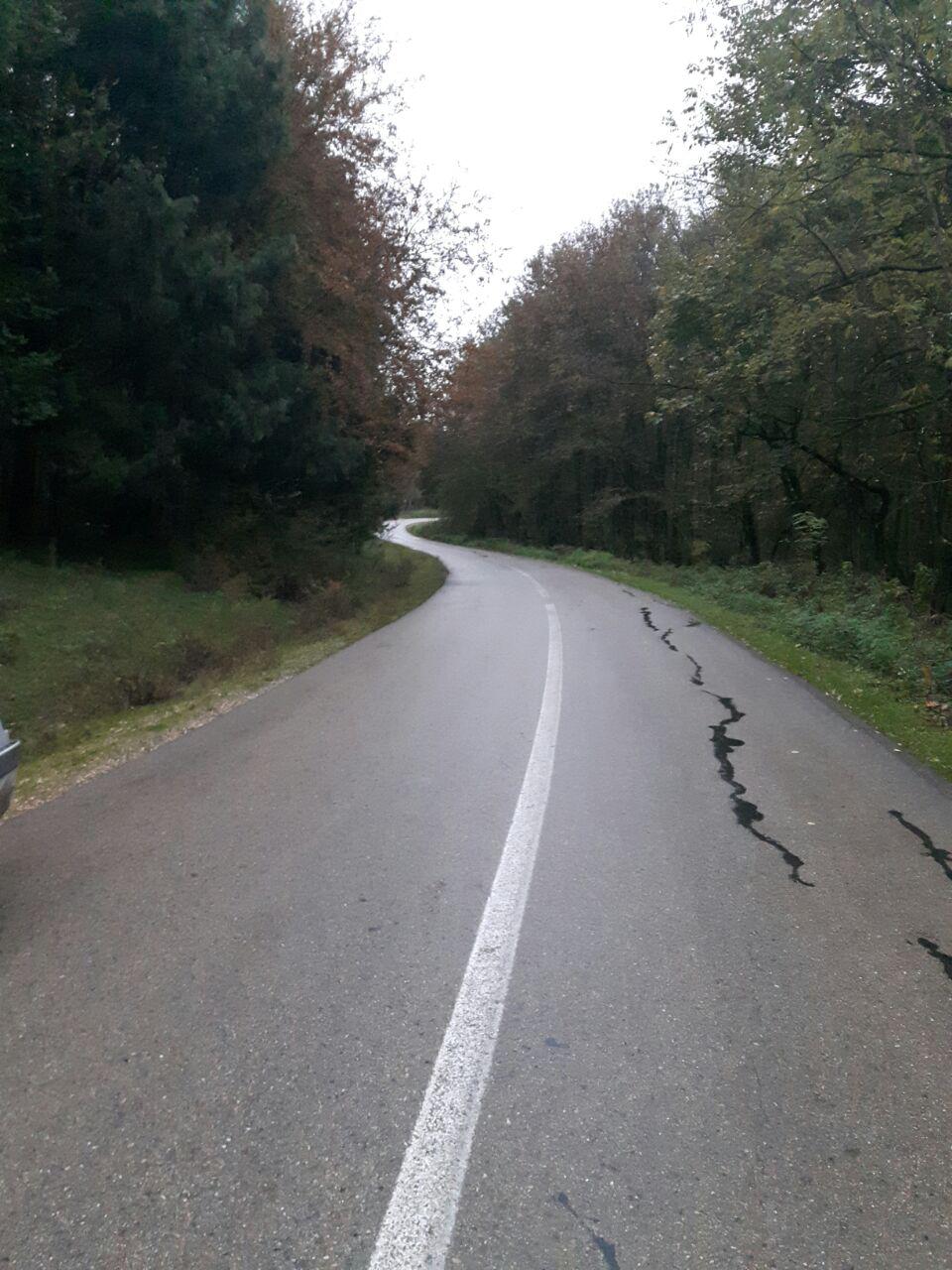 1_17_.jpg (960×1280)