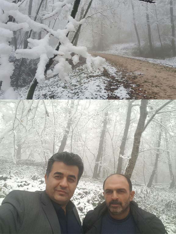 123456.jpg (577×766)