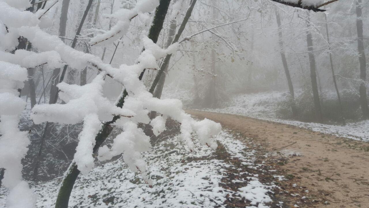 photo_2016_11_21_18_22_49.jpg (1280×720)