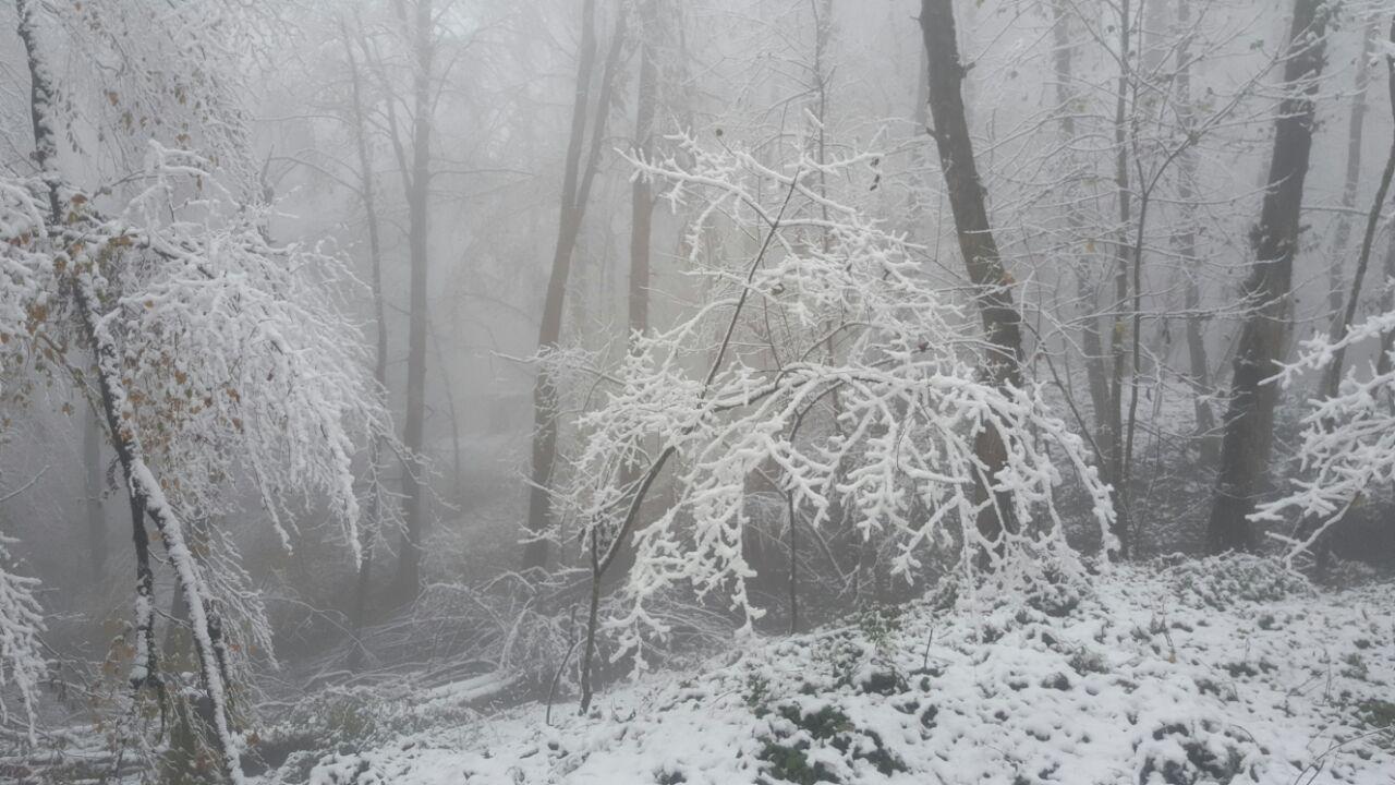 photo_2016_11_21_18_23_10.jpg (1280×720)