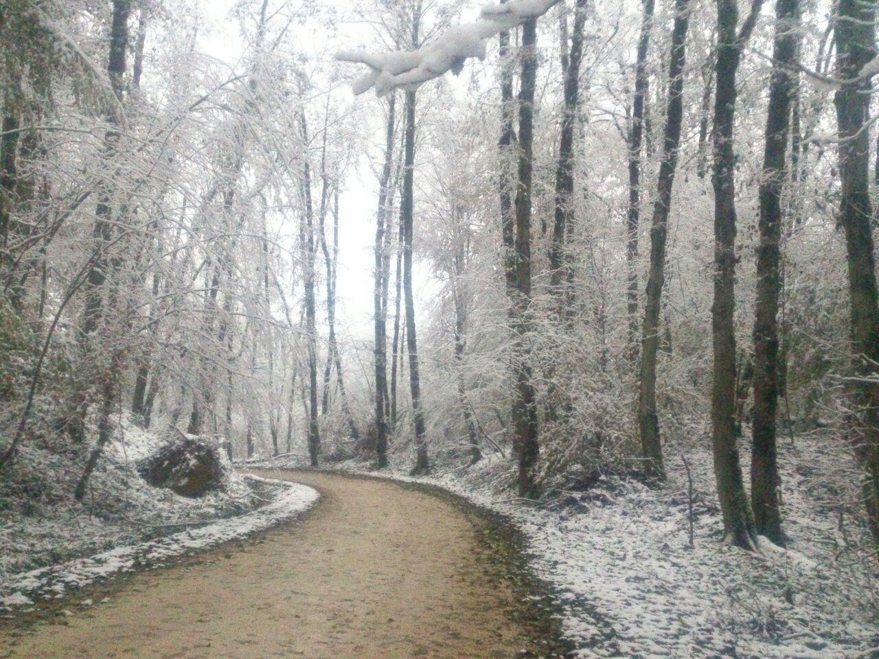 photo_2016_11_22_13_32_44.jpg (1280×960)