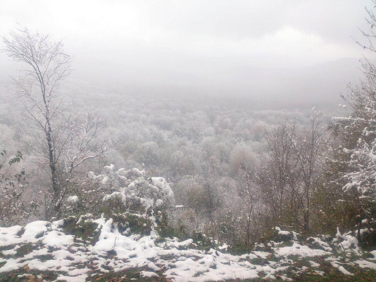 photo_2016_11_22_13_32_53.jpg (1280×960)