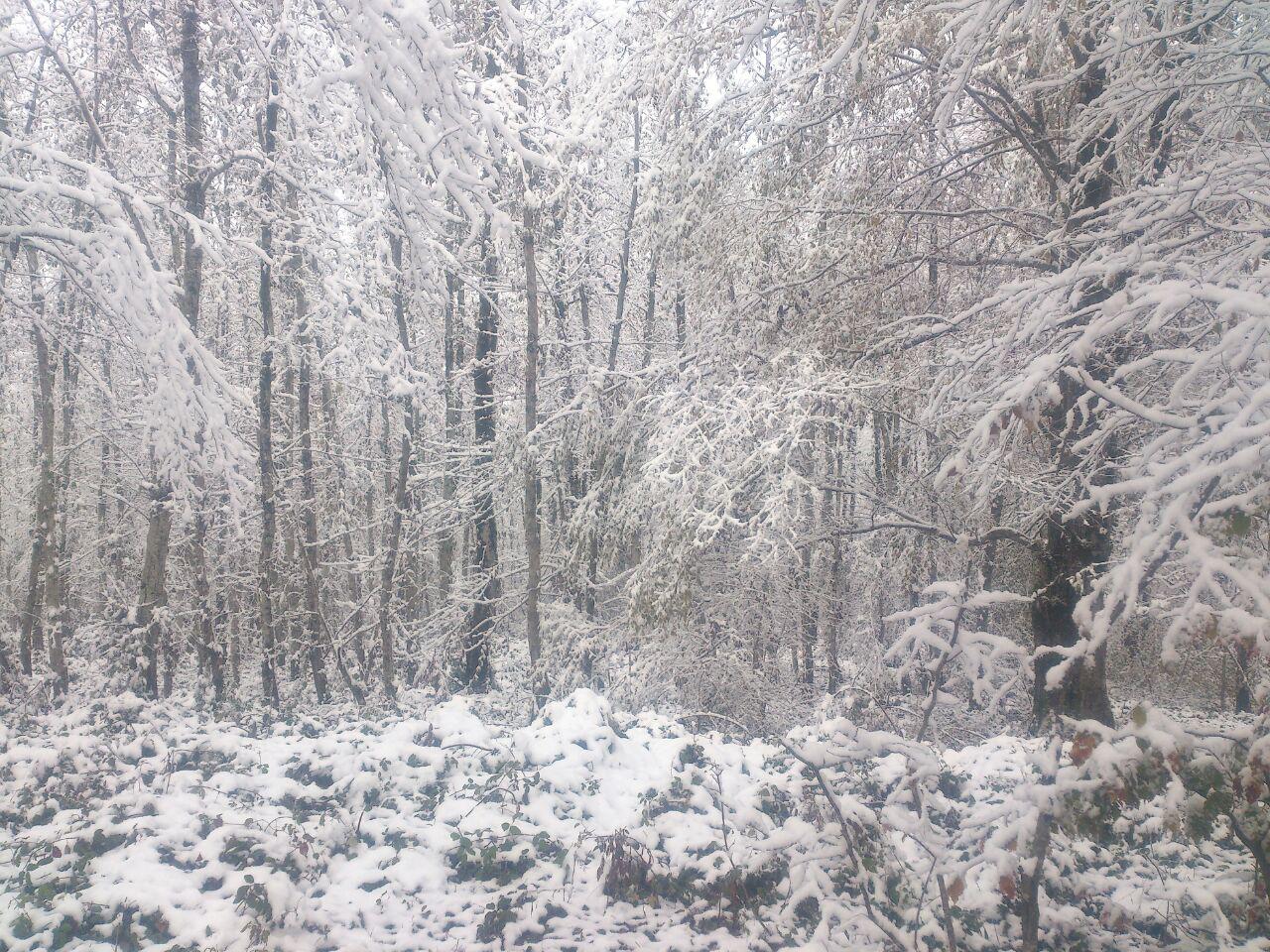 photo_2016_11_22_13_33_00.jpg (1280×960)