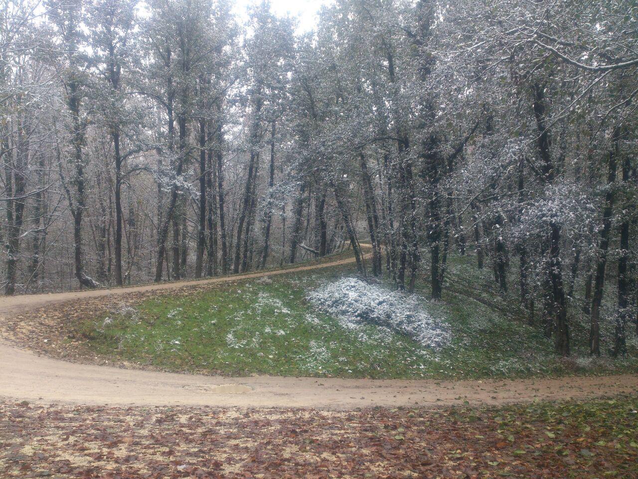 photo_2016_11_22_13_33_14.jpg (1280×960)