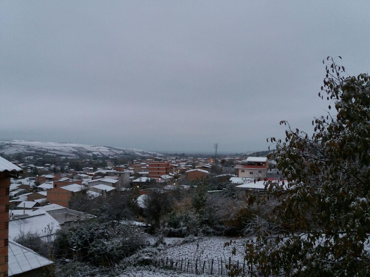 photo_2016_11_23_12_20_41.jpg (1280×960)