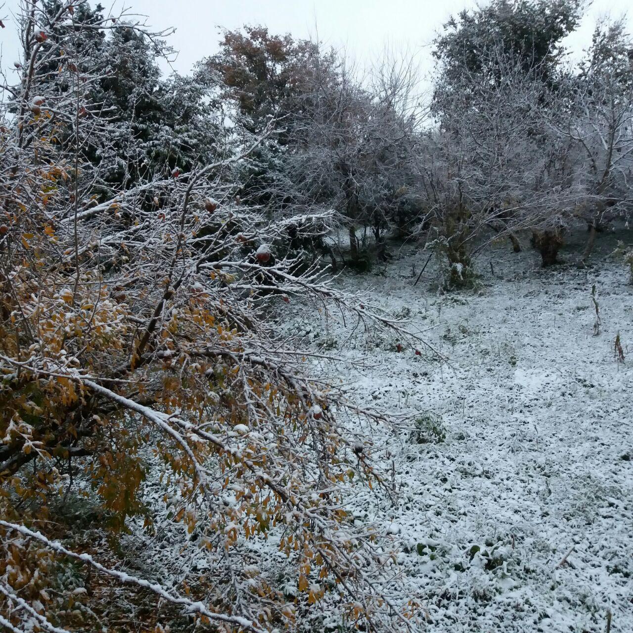 photo_2016_11_23_12_21_45.jpg (1280×1280)