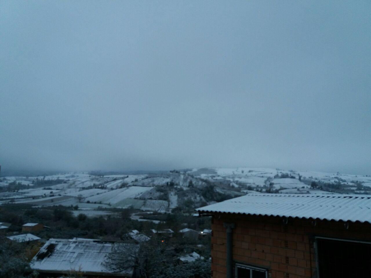 photo_2016_11_23_12_21_54.jpg (1280×960)