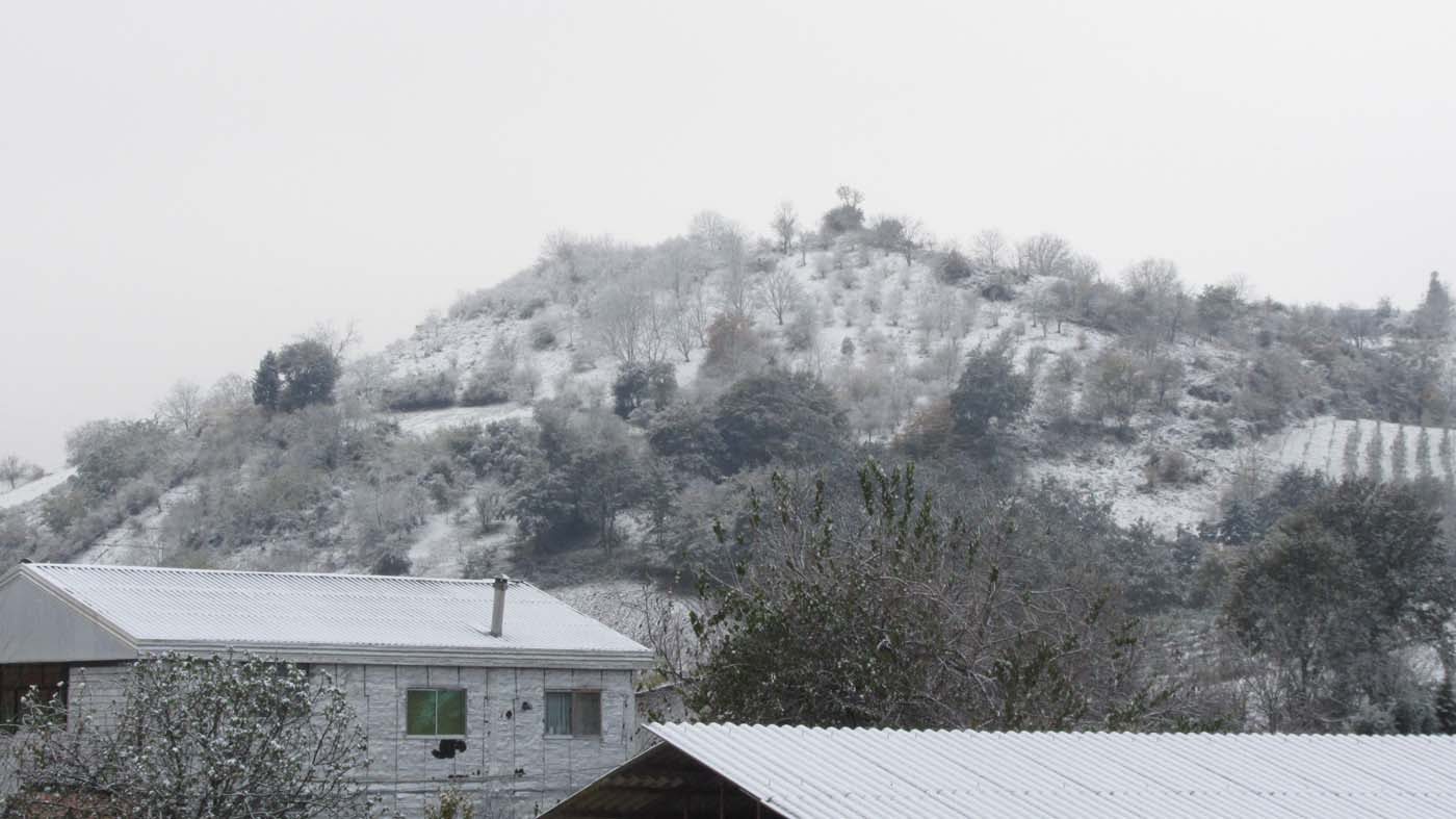 1_1_.jpg (1400×787)