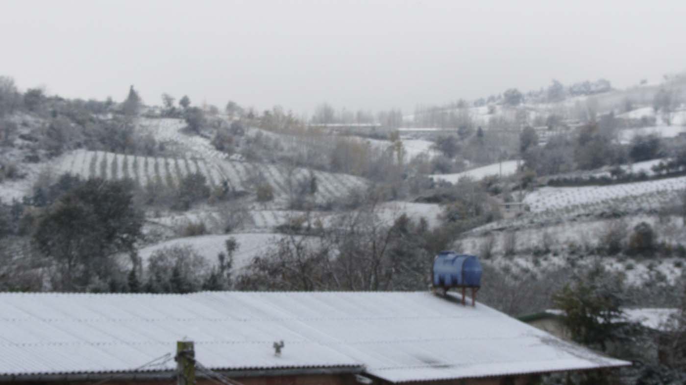 1_2_.jpg (1400×787)