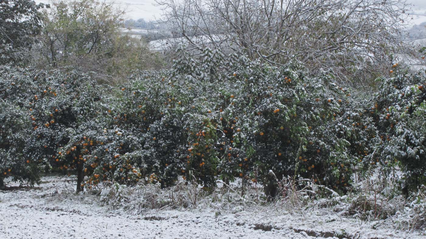 1_4_.jpg (1400×787)