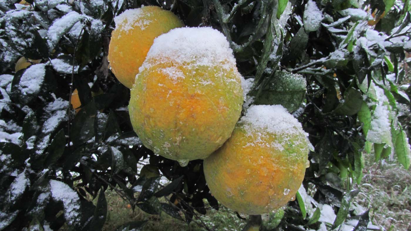 1_6_.jpg (1400×787)