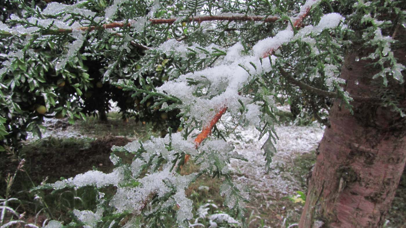 1_7_.jpg (1400×787)