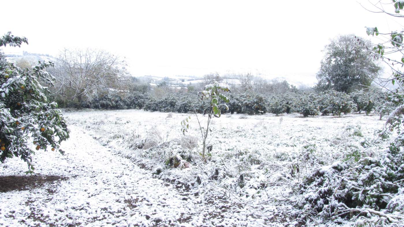 1_9_.jpg (1400×787)