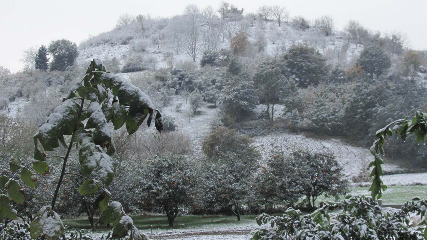 1_13_.jpg (1400×787)