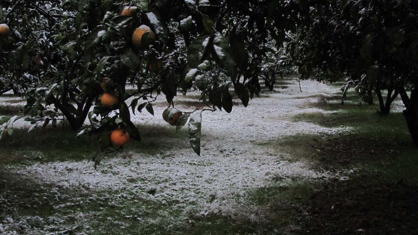 1_16_.jpg (1400×787)