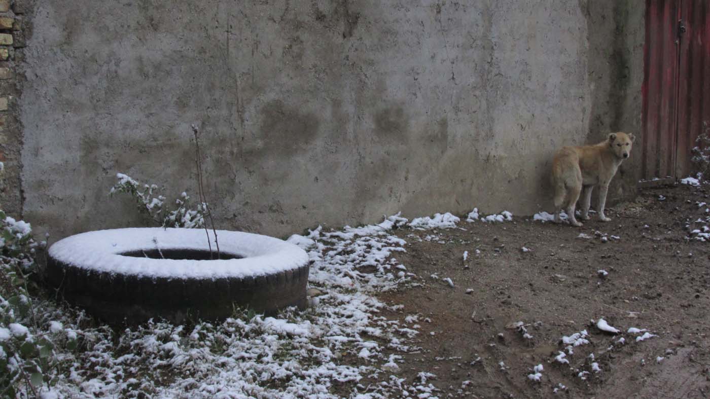 1_24_.jpg (1400×787)