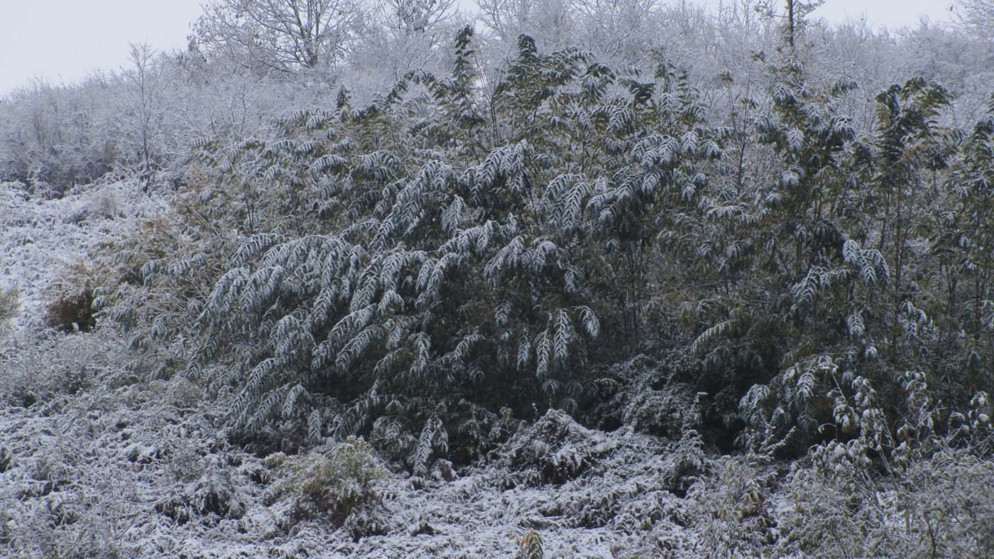 1_29_.jpg (1400×787)