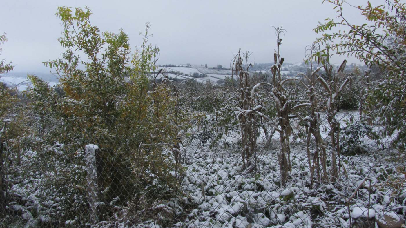 1_31_.jpg (1400×787)