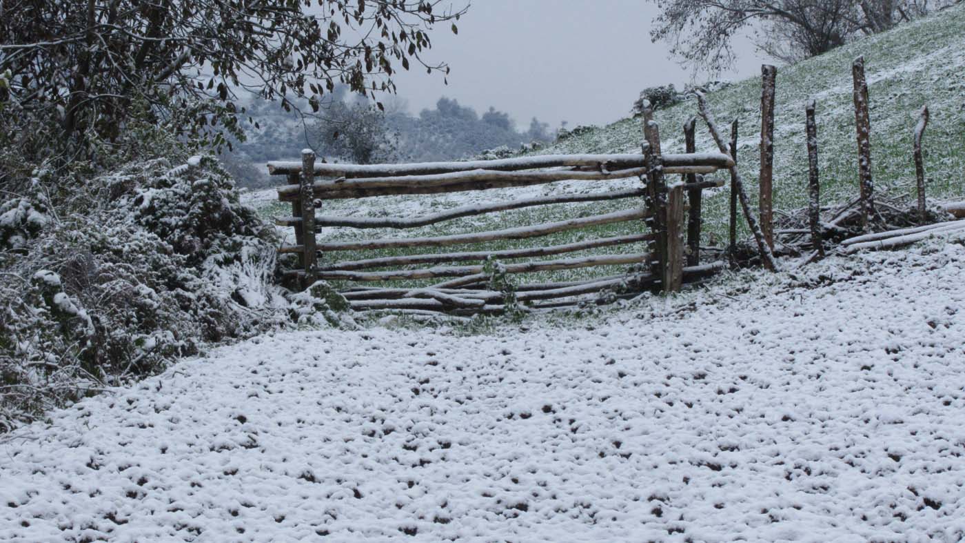 1_33_.jpg (1400×787)