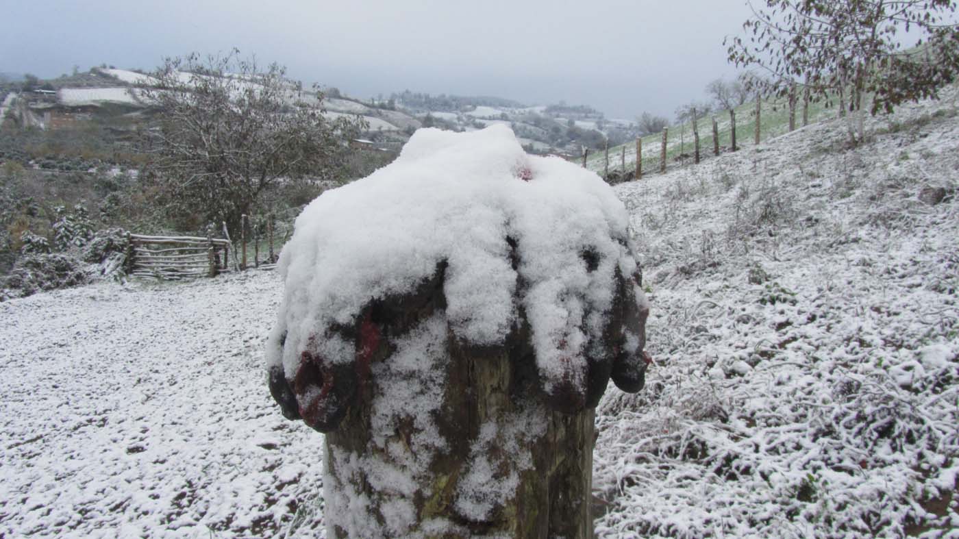 1_37_.jpg (1400×787)