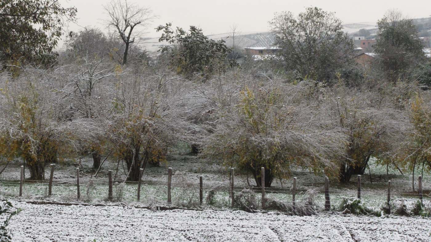 1_40_.jpg (1400×787)