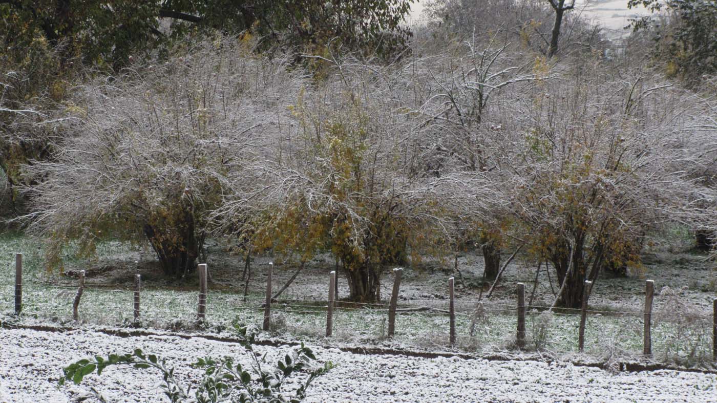 1_41_.jpg (1400×787)