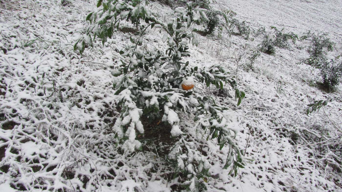 1_42_.jpg (1400×787)