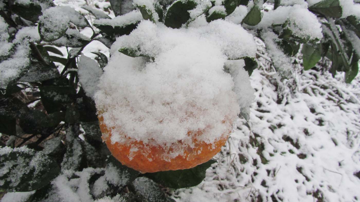 1_43_.jpg (1400×787)