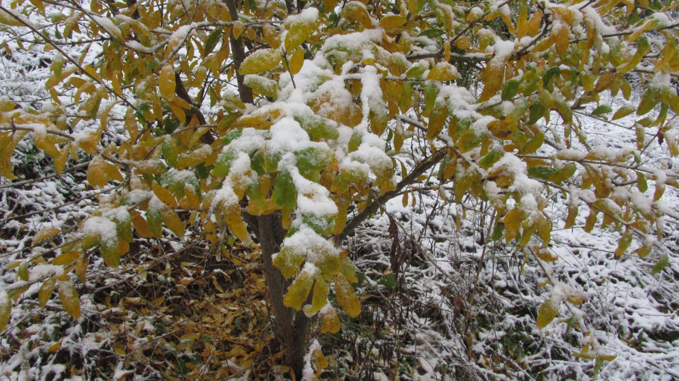 1_44_.jpg (1400×787)