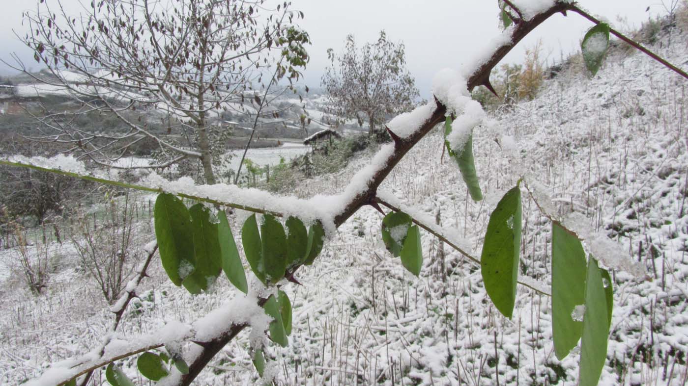 1_46_.jpg (1400×787)