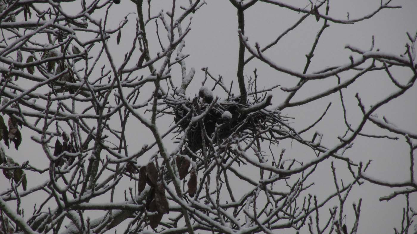 1_49_.jpg (1400×787)