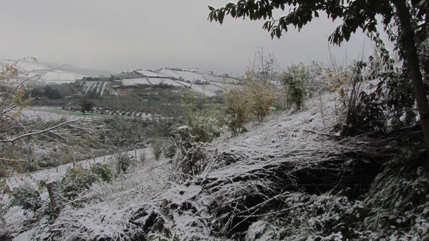 1_50_.jpg (1400×787)