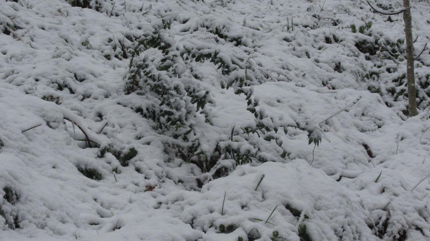 1_51_.jpg (1400×787)