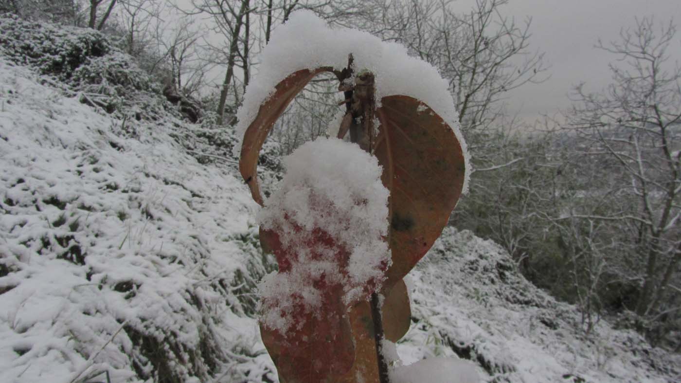 1_52_.jpg (1400×787)