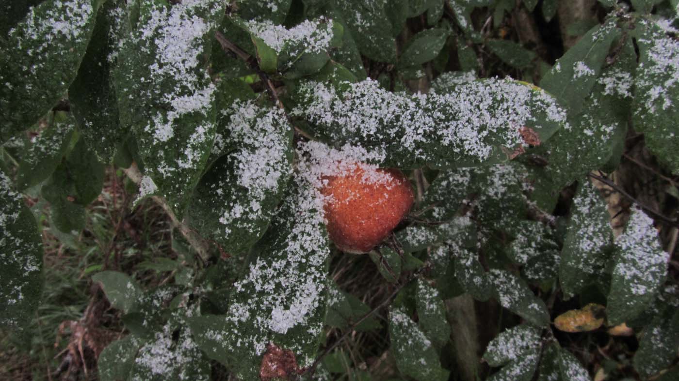 1_54_.jpg (1400×787)