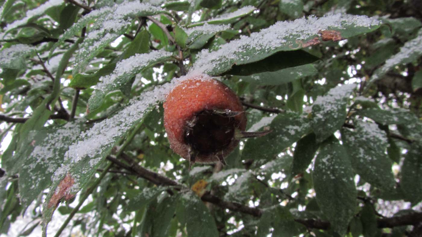 1_55_.jpg (1400×787)