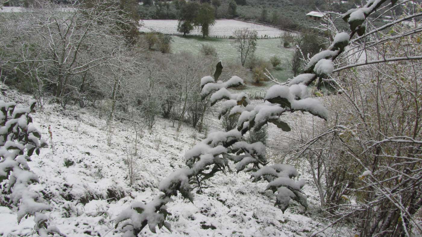 1_59_.jpg (1400×787)