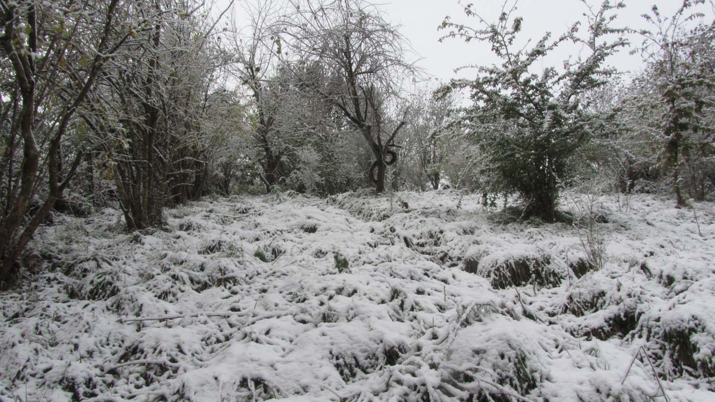 1_61_.jpg (1400×787)