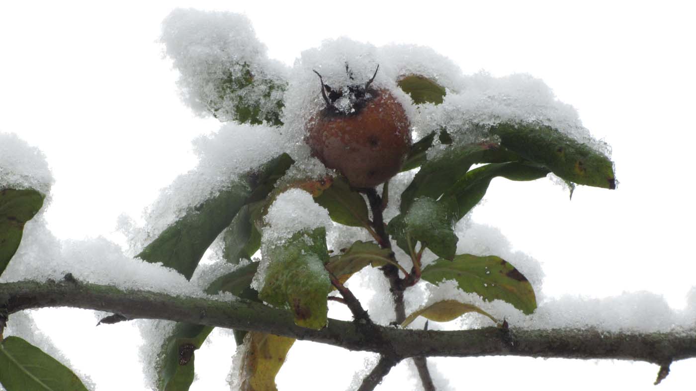 1_64_.jpg (1400×787)