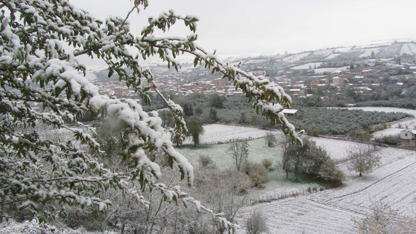 1_66_.jpg (1400×787)