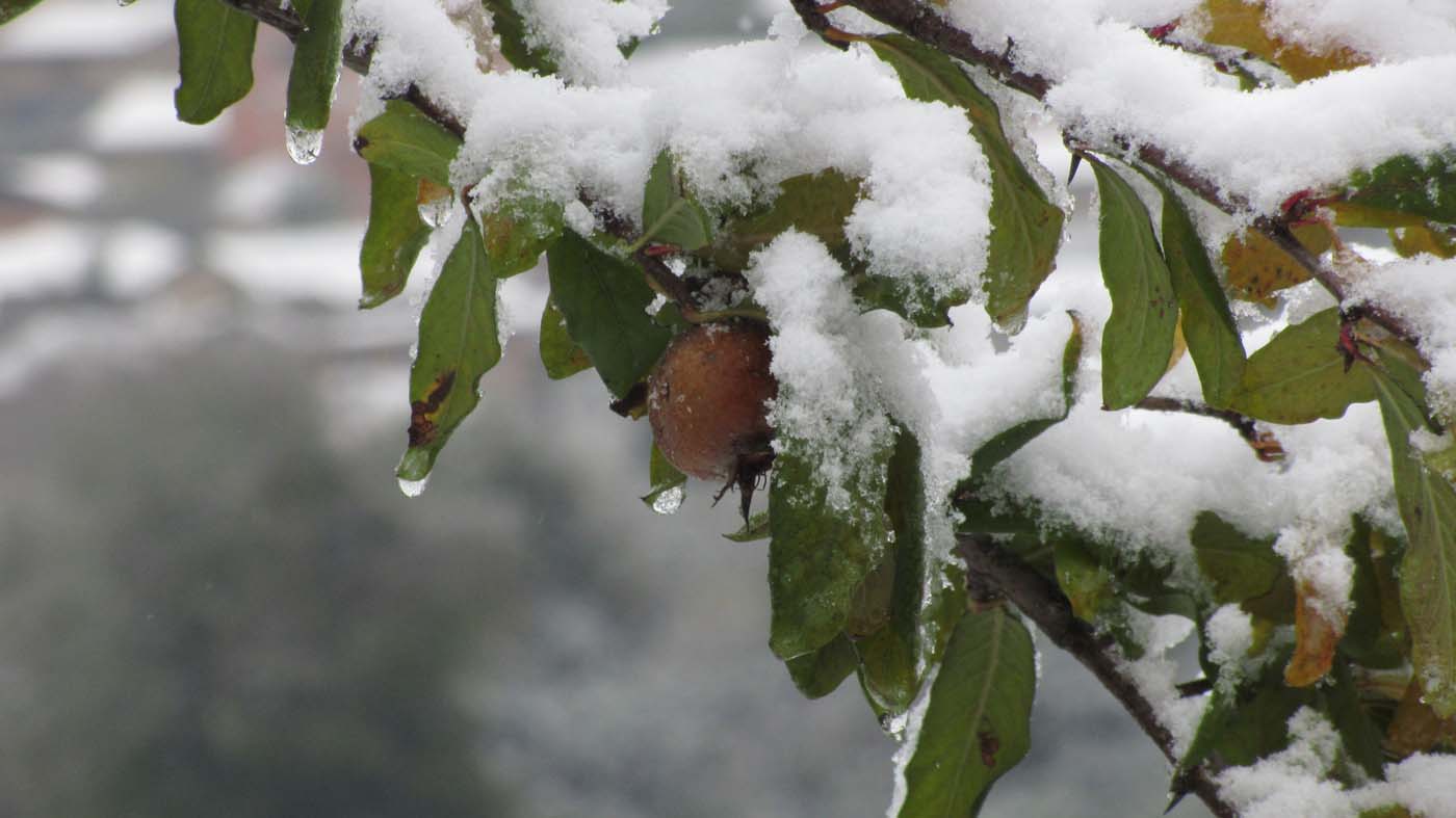 1_67_.jpg (1400×787)