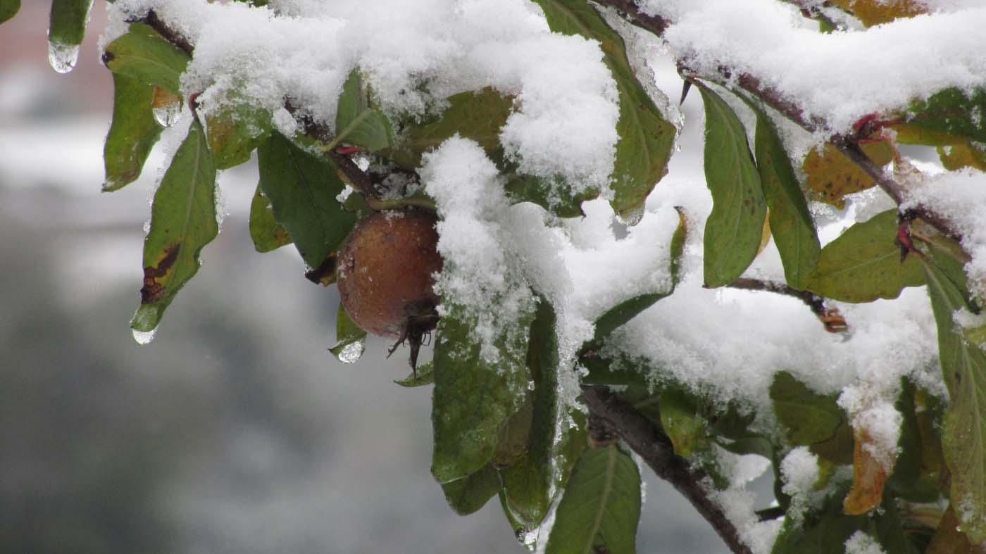 1_68_.jpg (1400×787)