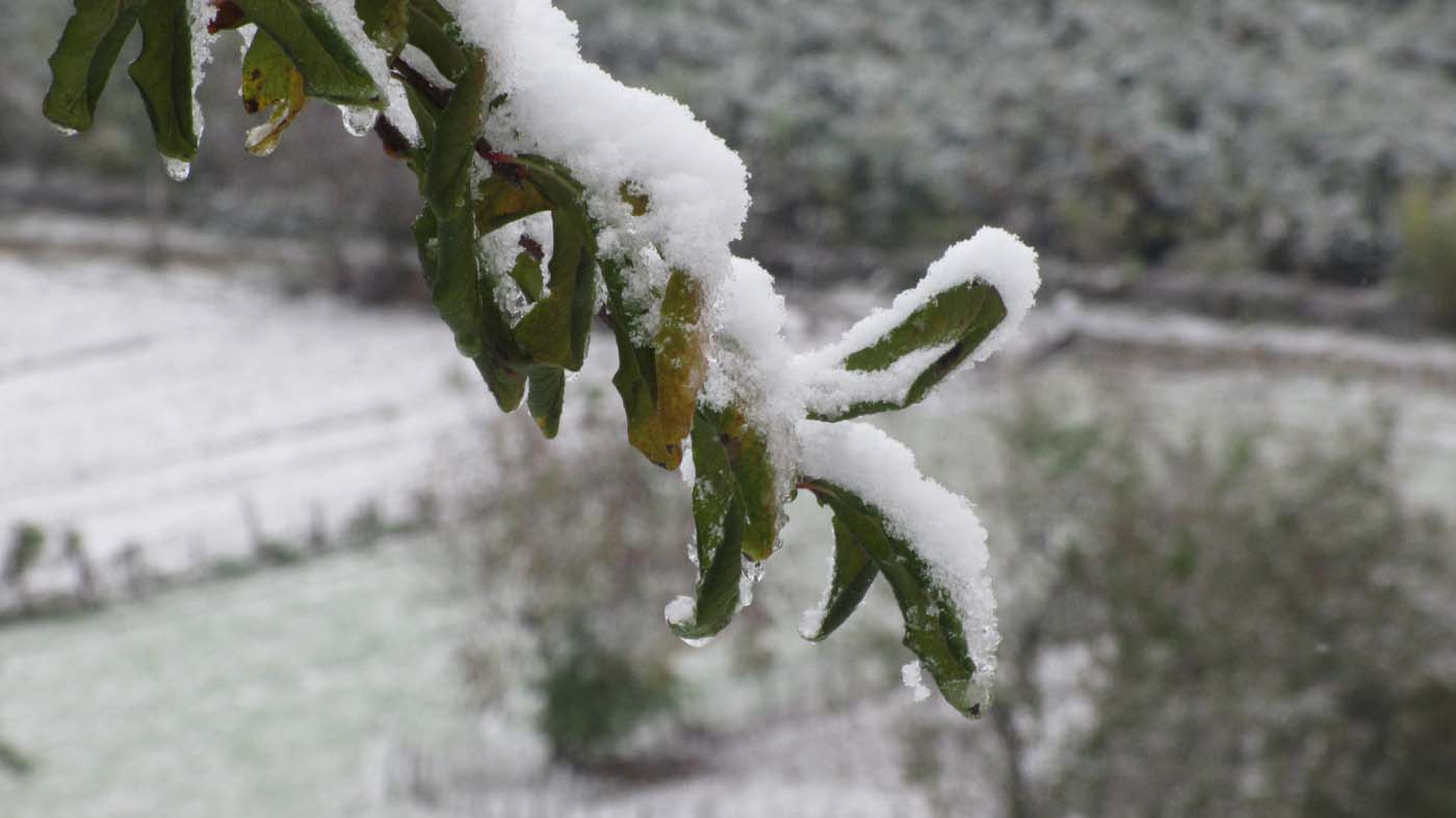 1_70_.jpg (1400×787)